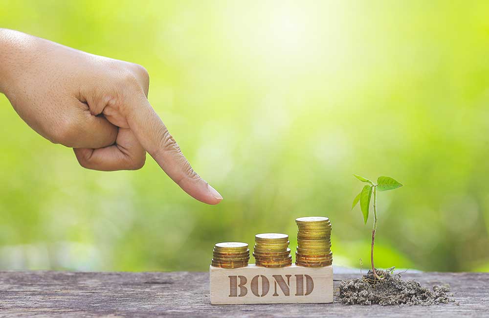 Terna: primo Green Bond